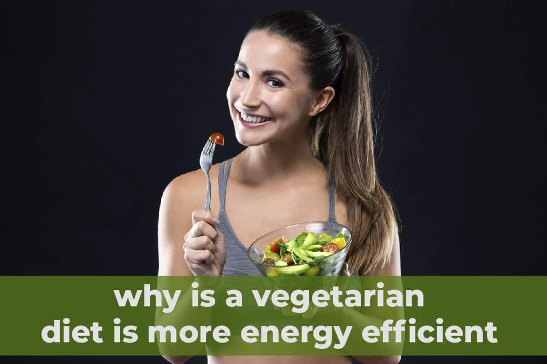 why is a vegetarian diet is more energy efficient